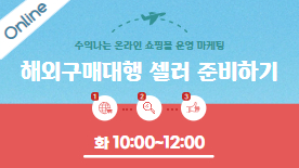 [온라인] 수익 나는 온라인 쇼핑몰(해외 구매대행 셀러 과정)