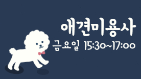 [110기] 애견미용사(기초)