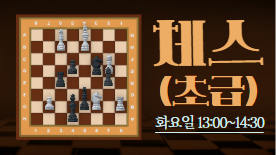 [114기] 두뇌게임 체스(초급)